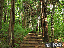 昭和の森